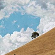 Z钟的个人资料头像