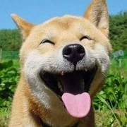 需要样式才能好看的前端打杂师的个人资料头像
