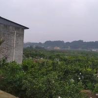 云海头像