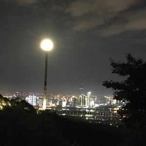 风起了头像