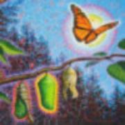 天舒的个人资料头像