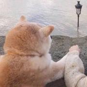 一一言的个人资料头像