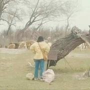 Jin5的个人资料头像