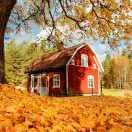 安涟的个人资料头像