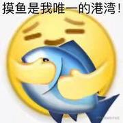 啊米诺斯的个人资料头像