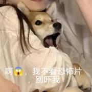 后来832的个人资料头像