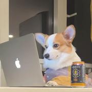 我全都要y7的个人资料头像