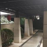 SY食记头像