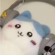 Warm的个人资料头像