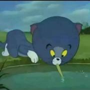 arrr862的个人资料头像