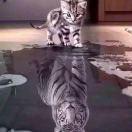 巨象蚂蚁的个人资料头像