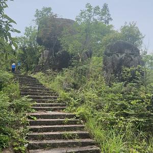 淳和头像