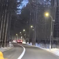 鲨鱼大辣椒NY头像