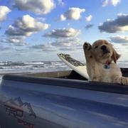 用户5188387325791的个人资料头像