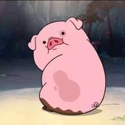 像风一样自由9的个人资料头像