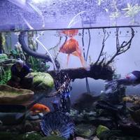 手机用户72535455102头像