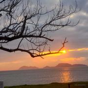 你有何不同的个人资料头像