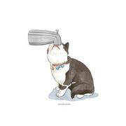 昕浦同学的个人资料头像