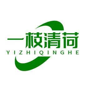 一枝清荷头像