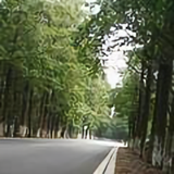 小约伴头像
