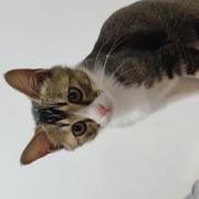 姜雷12138的个人资料头像