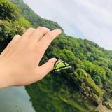 用户9339419432731头像