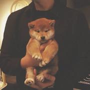 用户2995800281227的个人资料头像