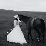 哦吼2号的个人资料头像