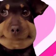 诸怀的个人资料头像