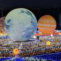 晓雅雅晓雅头像