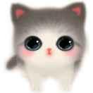 _圈圈_的个人资料头像