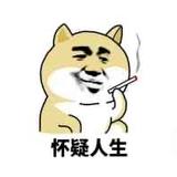 卡吞猫头像