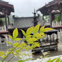 阿战蓝湛吖头像