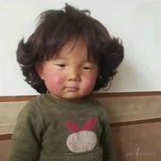 一周困8天的个人资料头像