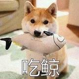 莓莓芒芝士塔头像