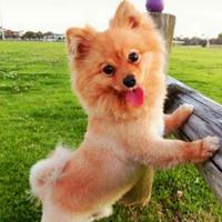 青青子衿5960头像