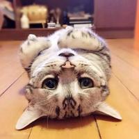 くどうしんいち725头像