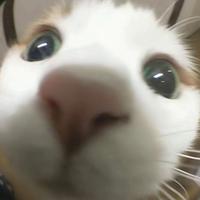用户9811451501886头像
