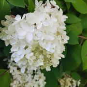 若风过境的个人资料头像