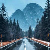 阳江🐠渔港达仔头像