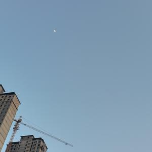 今天开心吗3966头像