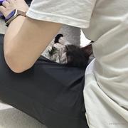 Hok_的个人资料头像