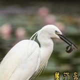 Gg天天侃头像