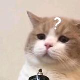 .头像
