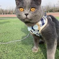 拖延症晚期患者啊啊啊头像