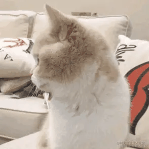 悲伤Kitty的个人资料头像