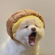 被热恋的乃淇淋的个人资料头像