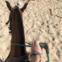 用户8864741940781头像