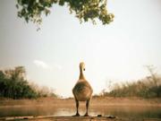 Urrr的个人资料头像