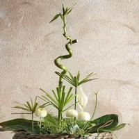 盲目的人生692头像